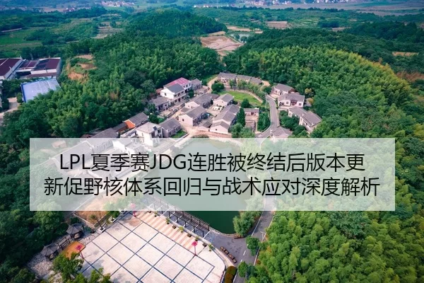 LPL夏季赛JDG连胜被终结后版本更新促野核体系回归与战术应对深度解析