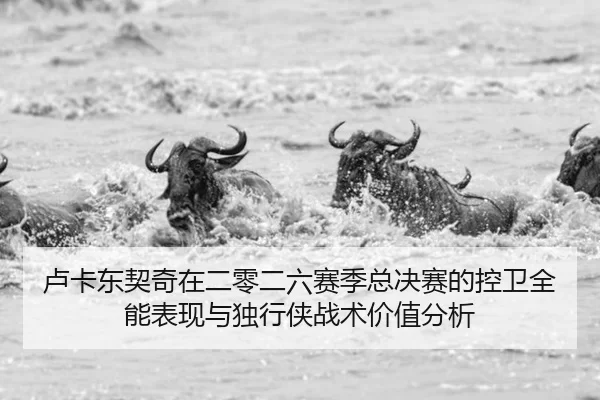 lu-ka-dong-qi-qi-zai-er-ling-er-liu-sai-ji-zong-jue-sai-de-kong-wei-quan-neng-biao-xian-yu-du-xing-xia-zhan-shu-jia-zhi-2-747.jpg