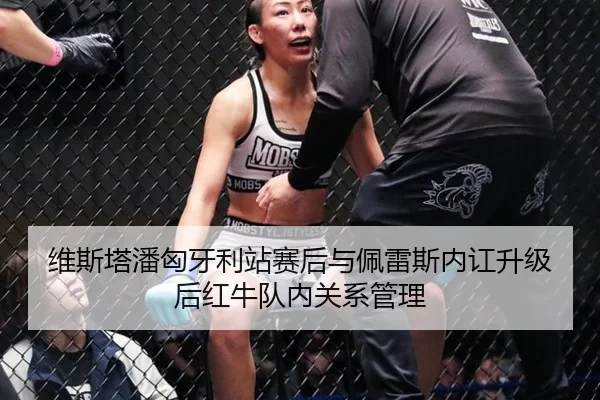 维斯塔潘匈牙利站赛后与佩雷斯内讧升级后红牛队内关系管理
